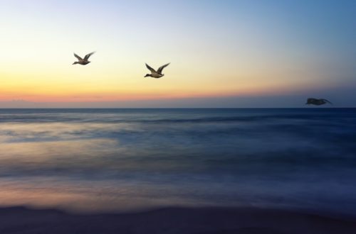 the goodness of god
