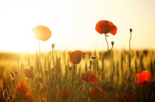 being present in the moment