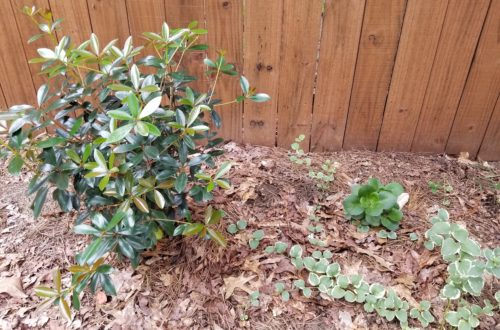 overcoming perfectionism in nature