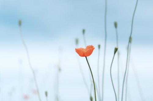 prayer for times of worry and anxiety