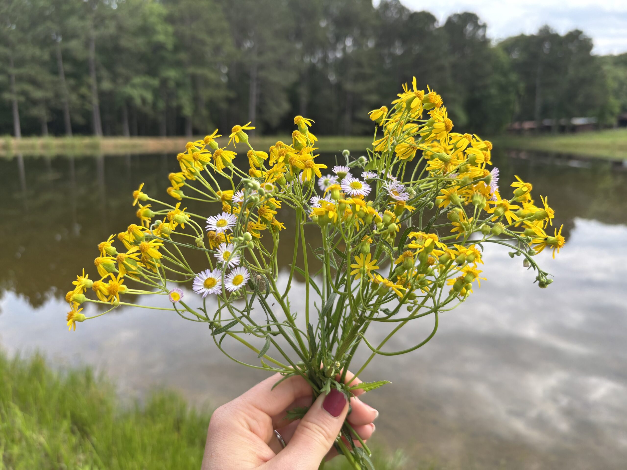 weeds have flowers too