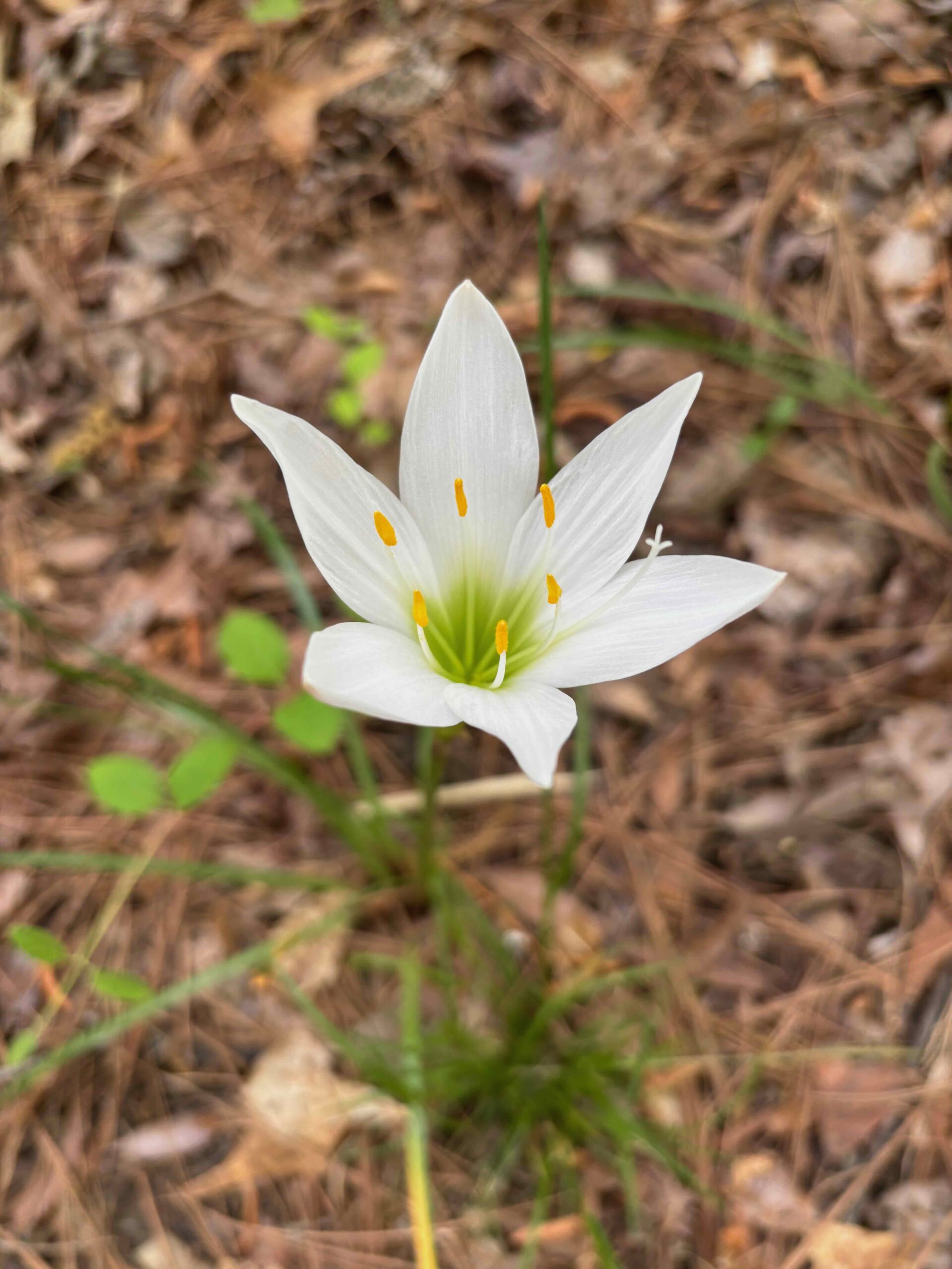 letting go of perfectionism