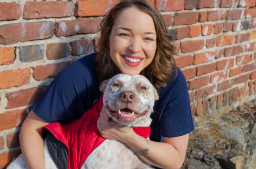 grieving a dog